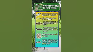 general knowledge || quiz | spinal cord I part-105