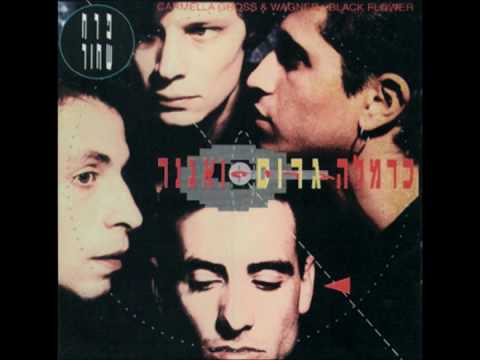 כרמלה גרוס ואגנר חנוך המחנך 