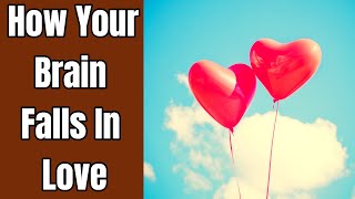 How Your Brain Falls In Love