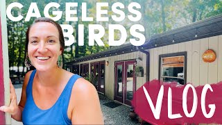 In the Studios with Melissa Helser and Molly Skaggs | Cageless Birds VLOG - July 12th, 2021