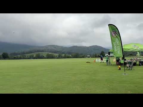 Finn Proctor & Pickett Men's MicroDog Xtreme Distance Record