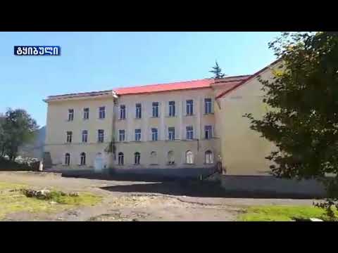 ტყიბულის მეორე საჯარო სკოლაში კორონავირუსის გავრცელების გამო სასწავლო პროცესი შეწყდა