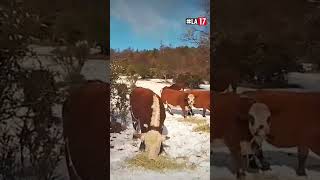 Cerro Centinela, Chubut, Argentina 🇦🇷