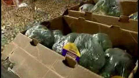 Food Bank - Faces of Hunger