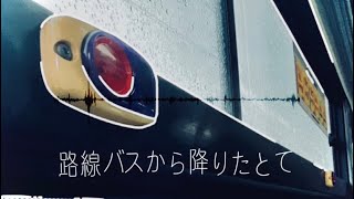 Rosen Bus kara Orita tote