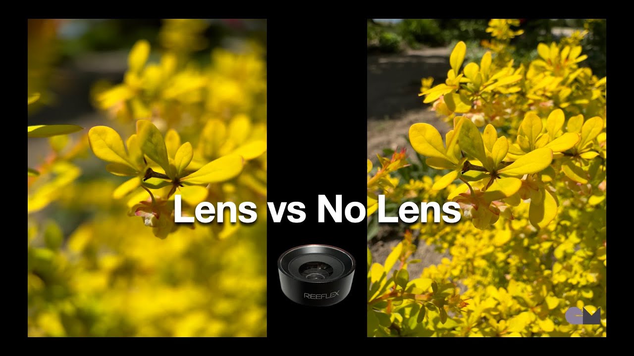 iPhone Macro Photography Lens vs No Lens YouTube