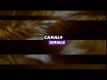 Canal seriale  ident 20152020