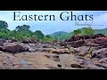 Inside India&#39;s Naxal Forests | Eastern Ghats Unexplored