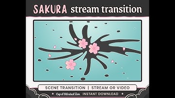 Sakura Stinger Transition | Aqua + Pink Cherry Blossom Stream Transition (Preview)