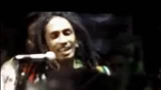 Mr. Sunshine - Fredi Marley ( official music video )