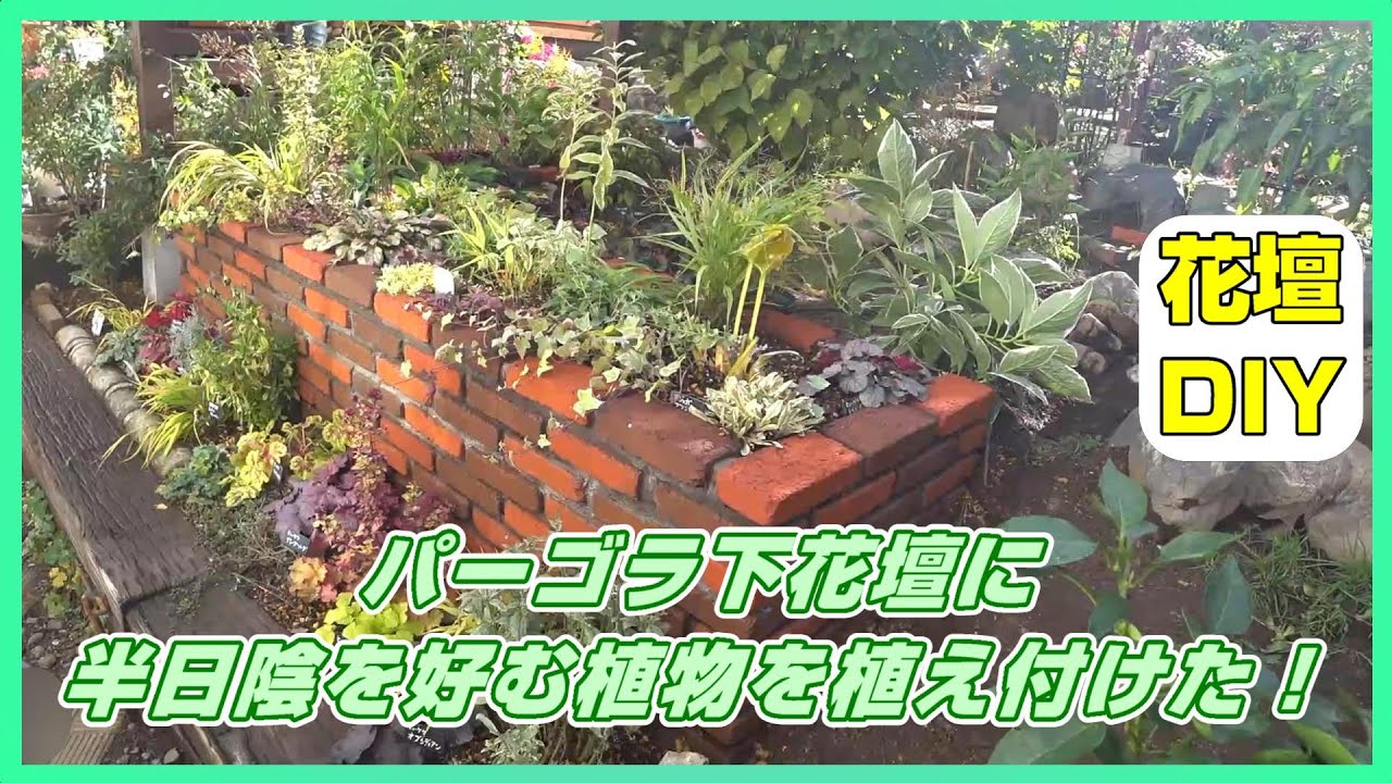 お花紹介 パーゴラ下の花壇に半日陰を好む植物を植えた Youtube