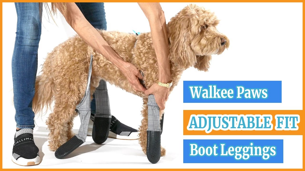 "How To Fit" Walkee Paws ADJUSTABLE FIT Boot Leggings Best Dog
