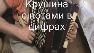 Крушина с нотами в цифрах