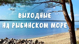 РЫБИНСКОЕ ВОДОХРАНИЛИЩЕ: СЕВЕРНАЯ ПРИРОДА, ПЕСОК И СОСНОВЫЙ ЛЕС