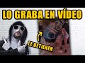 ¡INCREIBLE! LO GRABA en VÍDEO y SE VA DETENIDO | UTBH