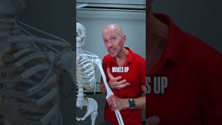 Tennis Elbow Wont Heal Until You Fix This
Most tennis elbow fixes only address the forearm and wrist. The real driver is a shoulder rotation deficit that gets picked up at the elbow. Heres how to fix both at the same time. Tennis Elbow Wont Heal Until You Fix This