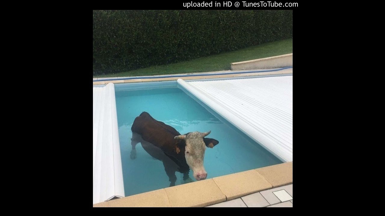 Mario Judah type beat ''Sea Cow''