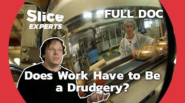 Redefining the Modern Workplace for Workers Well-being | SLICE EXPERTS