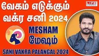 Sani Vakra Palangal 2024 | Mesham Rasi | சனி வக்ர | June 29th to Nov 15th | Life Horoscope #mesham