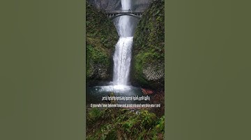 الآية ٧٧ من سوره الحج  - Verse 77 from Surah Al Hajj