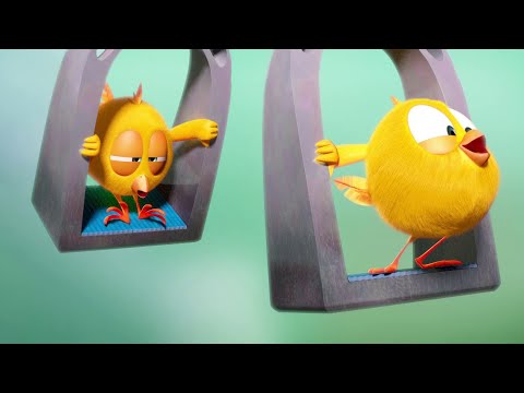 Где Чики? 🐥Чик! | Качели Чики | Лучшие серии на русском языке