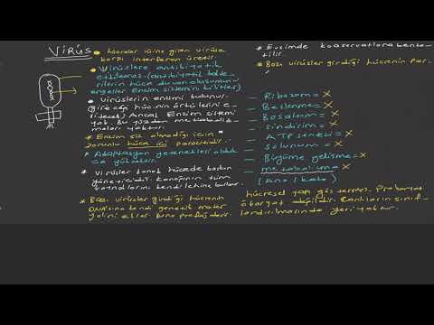 Virüsler - ( 1.DERS )