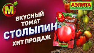 Томат Столыпин Описание И Фото Характеристики