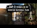 Incredible waterfalls in Northern NSW! Top 3 Places to visit in Dorrigo