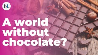 A world without chocolate? Examining the global cocoa crisis