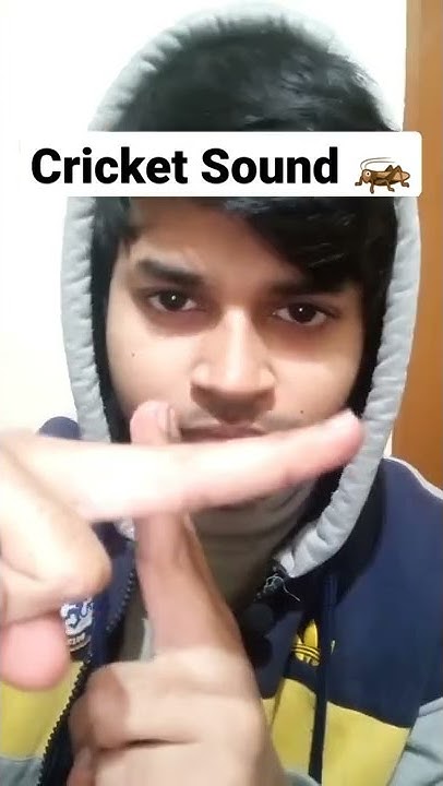 How To Make A Cricket Sound With Your Mouth Cricket Sound - Beatboxing Tutorial in Hindi 🦗 | Musical Mouth #shorts