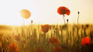 Free Copyright Music Marcvila screenshot 3