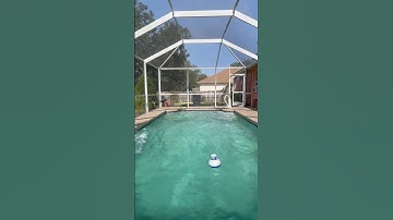 💚Algae Pool Cleanup Green to Bluuuee💙                   #onlypools #algae #cleaning