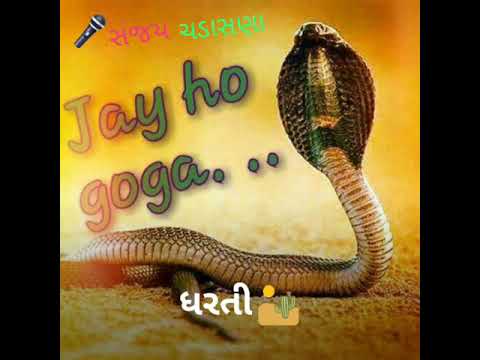 Sanjay chadasana... Jay goga stetus