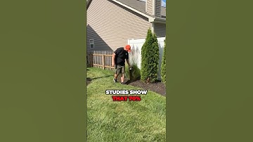 DIY PEST CONTROL LIES You Won