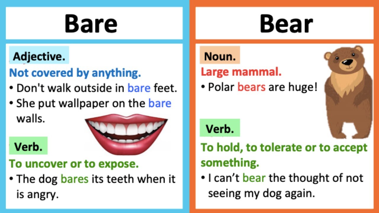 BARE vs BEAR 🤔, What's the difference?