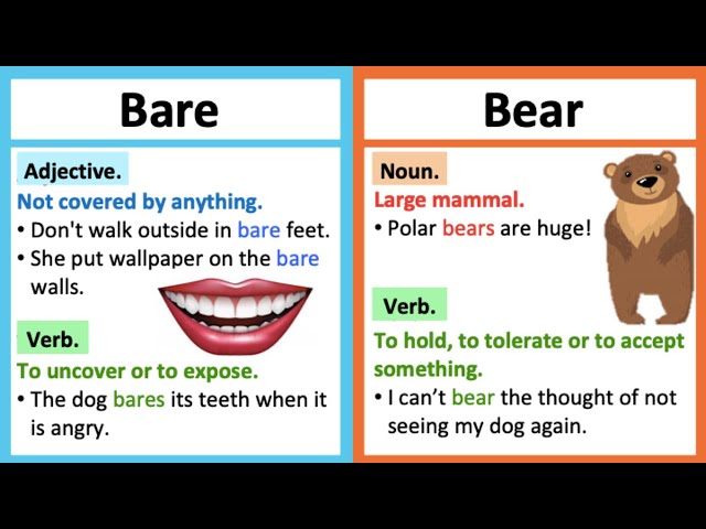 BARE vs BEAR 🤔, What's the difference?