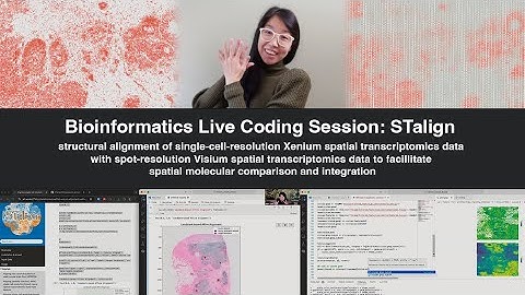Bioinformatics Live Coding Session - alignment of spatial transcriptomics data using STalign