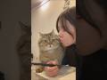 ネッコさん見て癒されたら寝ろｗｗｗ #動物 #ネコ