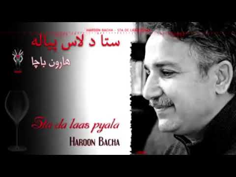 هارون باچا سندره ستا د لاس پیاله Haroon Bach 