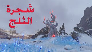 شجرة الثلج - قينشن امباكت