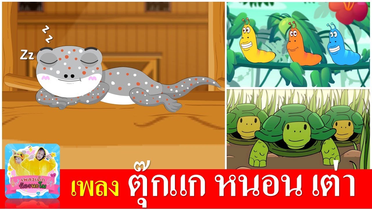 เพลงเด็กอนุบาล ตุ๊กแก หนอน เต่า | เรียนรู้เรื่องสัตว์
