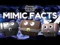 Fun Facts About EVERY Mimic In Tower Heroes