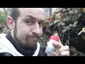 Ma 300eme geocache (suite)