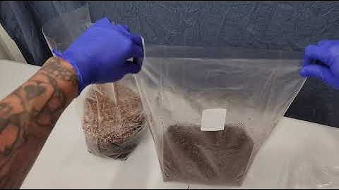 Step 2 - Spawn to bulk, LET