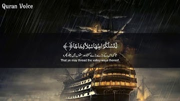 Surah Nooh سورة نوح  - Omar Hisham Al Arabi عمر هشام العربي - Quran Voice