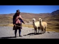 Music from Andes, Alpamayo - 2