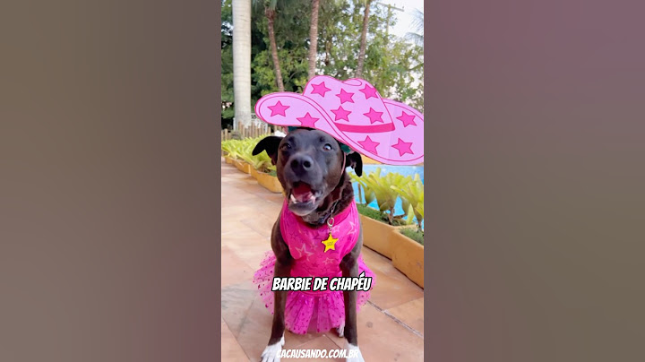 BARBIE DE CHAPÉU #cachorros #cachorro #cachorrosengraçados #barbie