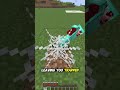 One Fun Fact About Every item In Minecraft Cobwebs