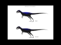 Allosaurus Jimmadseni Sound Effects 