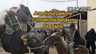 : 06.04.2025. -    .